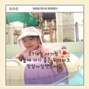국예경희대태권도체육관 | [겨울물놀이] 21개월 아기랑 다녀온 의정부 아일랜드캐슬 워터파크 후기