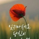 알잘 이미지