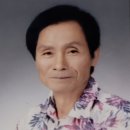 노벨재단- 공동 주관 한국그린문학편(회장 김영붕) 이미지