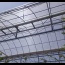 매대농장 이미지