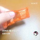 그물에걸리지않는바람처럼 | 2026.3월 주간일기 1주차 ; 그물에 걸리지 않는 바람처럼