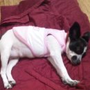 동미농장 이미지