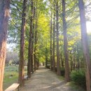 초록향기작은도서관 | 오산 가볼만한곳 물향기수목원 작은책방 자연 힐링 산책코스 솔직후기