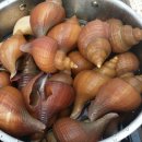 죽변 해심원 온천 이미지