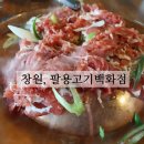 팔용고기 이미지