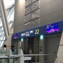 일본 사가현 렌트카 이용후기 I 사가공항 24시간 만원 예약방법, 꿀팁 I 오릭스 렌터카 I 천엔 이벤트