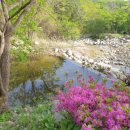 양구조은펜션 이미지