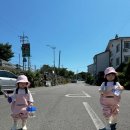 비토섬 신우리조트(주) 이미지