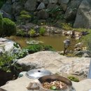 꽃뱅이정원 이미지