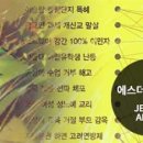 에스더 기획 이미지