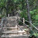 인천대공원(거수골) 이미지