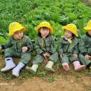 도윤농장 이미지