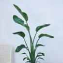 이동관한의원 이미지