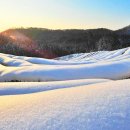 보성미가 이미지