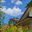 늘솔펜션 이미지