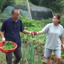 박영철농장 이미지