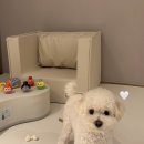 아이팜(주) 이미지