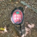 관악산둘레길 1구간 낙성대역 4번출구 출발 관음사도착 산행코스 추천 with 해태OB 당산회