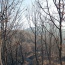 건강공원 화장실 이미지