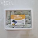 블루베리체험 더좋은농원 딸기체험 끝! 블루베리농장체험 비용 예약 위치 후기