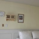 폴인럽제주 이미지