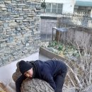 은행나무빌라 이미지