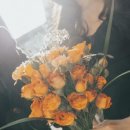 대교로L | [서울&amp;경기]예그리나 포토 사진촬영 후기! 동호대교가 있는 한강에서 야외웨딩촬영했어요 열정포토 작가...