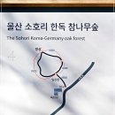 일신천 이미지