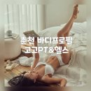 고고PT & 헬스 | 춘천 바디프로필 맛집, 수상경력 트레이너 PT 전문샵 &#39;고고피티&#39;