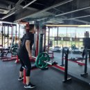 헬스피티 이미지