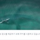 제주도 여행 제주 가볼만한곳 동문시장 청년몰 야시장 이미지