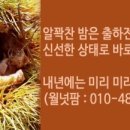 법인월넛팜