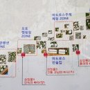 실안관광지 이미지