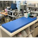 함께오래동물병원 이미지