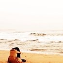 널부르는소리야 이미지