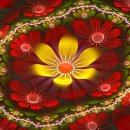 대한항공정우회 이미지