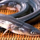 명물장어수산 이미지