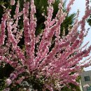 강원도청반비어린이집 이미지