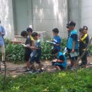 논공초등학교 이미지