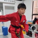 연세월드태권도 이미지
