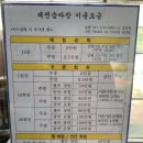 대전 승마장 초등학생 승마레슨 후기
