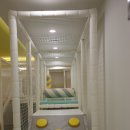 스파타올 이미지