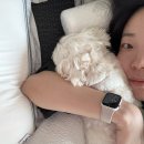 분당내곡로 | [임신 29~35주차] 임신 중기증상 / 분당제일여성병원 백일해주사 / 9월의 기록