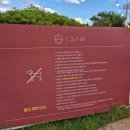 안평로 | 부산애견카페 추천, 식사까지 가능한 애견카페 일로우 솔직후기