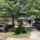 언제나방목닭민박 | 제천 계곡 백숙 맛집 :: 청량한 여름 시골감성 언제나방목닭