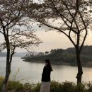 코티지683 이미지