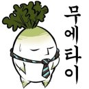 안양특공무술사관학교 | 안양 불주먹의 작은 도전 🥊 무에타이