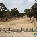 괘릉 화장실 이미지