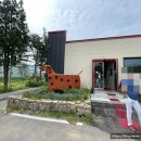 펫피랜드 이미지