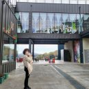 명인홍순양베이커리 | 울산 언양 카페 : '신불산에 봄' 명인 홍순양 베이커리 대형 카페 방문후기